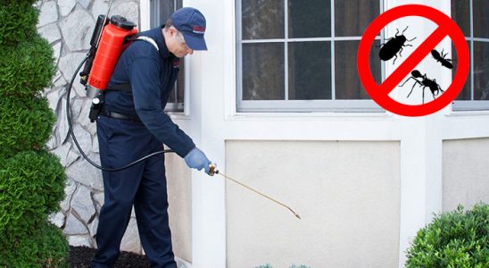 Akseki Akrep İlaçlama böcek ilaçlama ve haşere kontrolü — ilaclama-tr.com
